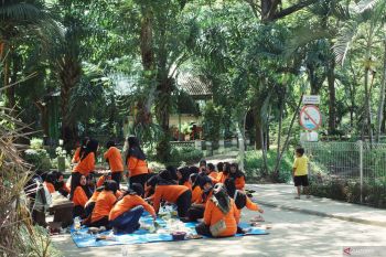 Menjelajahi Taman Kota Kebun Bibit Surabaya
