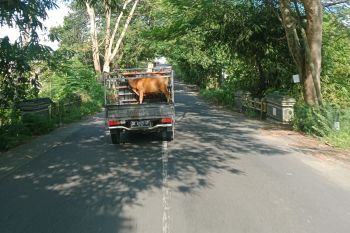 Pemkab Lombok Tengah diminta fokus menyelesaikan perbaikan jalan
