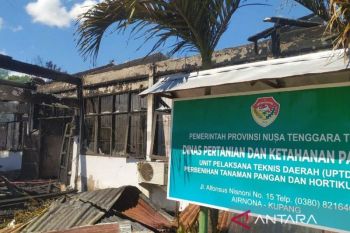 Polisi selidiki penyebab kebakaran gedung kantor UPTD pembenihan