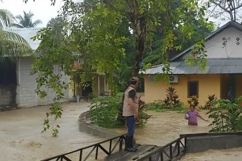 Dua daerah di Sulteng terendam banjir