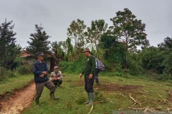 Ternak warga dimangsa harimau, BKSDA Sumbar turunkan tim tangani konflik (Video)