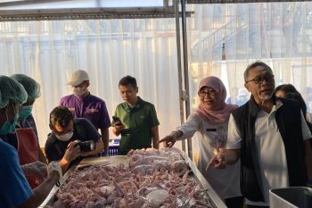 Mendag sebut semua hewan potong harus bersertifikasi halal pada Oktober 2024