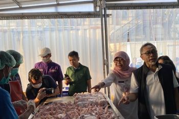 Mendag Zulkifli Hasan sebut semua hewan potong harus bersertifikasi halal Oktober 2024