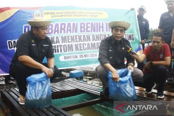 Pemkab Mura terus upayakan kemandirian pangan sektor perikanan