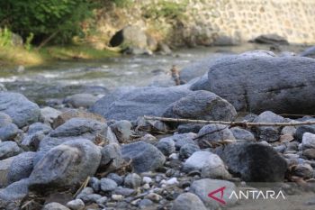 Selamatkan hutan CAP Cycloop Jayapura dari perambahan