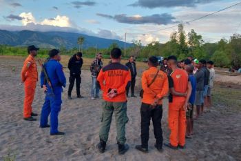 Pemancing ikan hilang di NTT setelah diterkam buaya