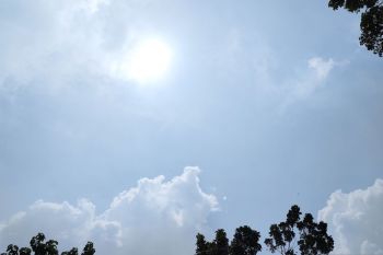 Layanan Perubahan Iklim Uni Eropa sebut April 2024 terpanas sepanjang sejarah