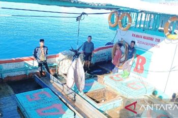 Biak Numfor jajaki ekspor perikanan ke Amerika dan China