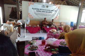DKP Gunungkidul beri pelatihan inovasi pengolahan singkong