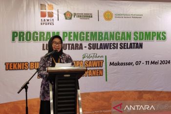AKPY melatih 209 petani sawit Lutra untuk pengembangan SDMPKS