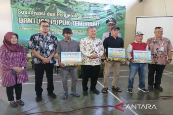 288 kelompok petani tembakau Temanggung dapat bantuan  pupuk