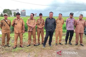 Legislator Kotim minta irigasi di kawasan lumbung padi dibenahi