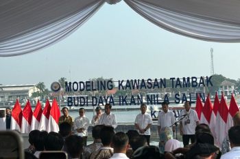 Presiden Jokowi resmikan modeling budidaya ikan nila salin di Karawang