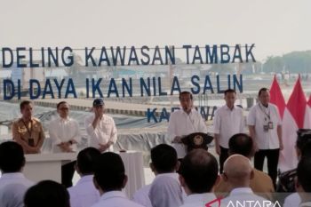 Jokowi: Tambak tak dimanfaatkan bisa dikembangkan budidaya ikan nila