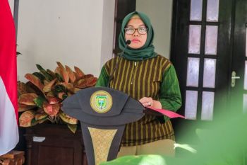 Pemkab Kulon Progo diminta merespons cepat tangkap peluang status YIA