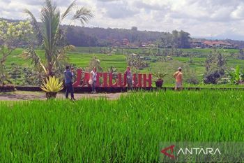 FAO Indonesia jadikan Tri Hita Karana contoh transformasi pertanian berkelanjutan