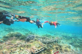 Kemala Bhayangkari Klungkung lestarikan terumbu karang di Nusa Penida