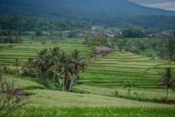 Delegasi asing akan nikmati budaya Indonesia di World Water Forum Bali