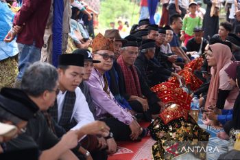 17 delegasi seminar international Minangkabau literacy festival 2 saksikan pacu jawi