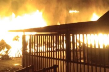 Kebakaran kembali terjadi, warga Kapuas diminta tingkatkan kewaspadaan