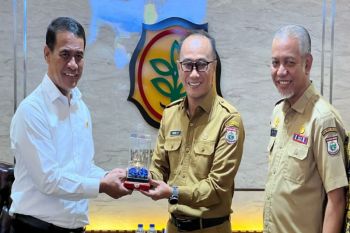 Kementan serahkan bantuan bibit untuk 11 ribu hektare lahan di Sulawesi Barat