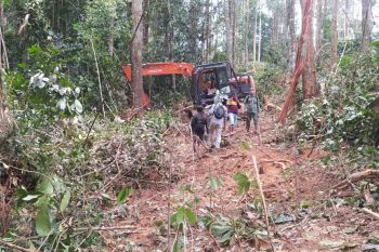 Mantan kades di Inhil jadi tersangka perambahan hutan TN Bukit Tigapuluh