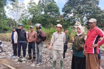 240,65 hektare lahan pertanian di Agam rusak diterjang banjir