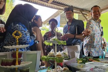 Indonesia's southernmost area to be focus of family planning service