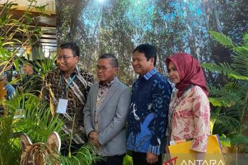 KLHK sebut koridor habitat solusi tekan konflik dengan dengan satwa