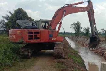 Kementan optimalkan sistem irigasi bagi 500 ha lahan rawa