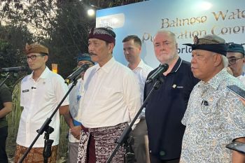 Luhut siap bantu Prabowo jadi penasihat