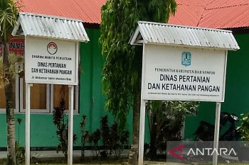 Pemkab Biak perketat pengawasan ternak masuk jelang Idul Adha
