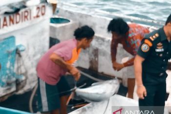 DKP Papua tingkatkan pemberdayaan ekonomi nelayan OAP di Biak Numfor
