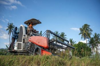 Sulteng harap 11 daerah sentra pertanian genjot produksi pangan