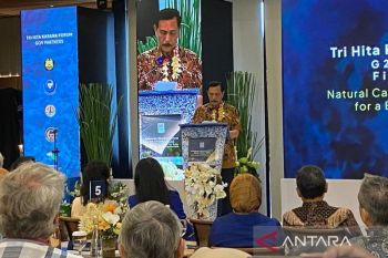 Luhut invites Musk to contribute to mangrove rehabilitation efforts