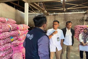 KPPU temukan realisasi impor bawang putih capai 27 persen