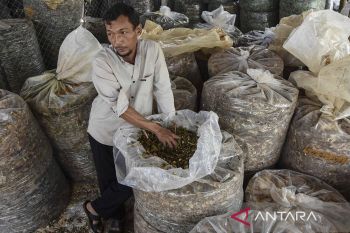 Produksi pakan ternak fermentasi