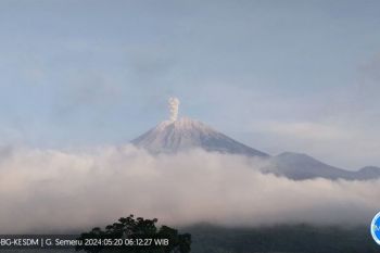 Gunung Semeru kembali erupsi
