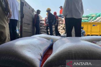 Pompanisasi Kementan, Bulog optimistis serap 600 ribu ton beras di Mei