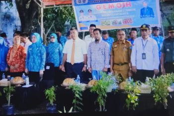 PKK Bulukumba mencanangkan 'Gemoih' cegah inflasi