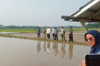 Kementan jamin kesejahteraan petani melalui penerapan program pompanisasi