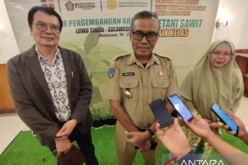 BPDPKS latih petani sawit Lutim tingkatkan produktivitas