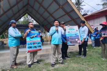 400 penyuluh perikanan lepasliarkan tukik di Polewali Mandar Sulbar