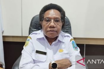 Pemkab Jayapura minta PLN aliri listrik enam kampung Distrik Airu