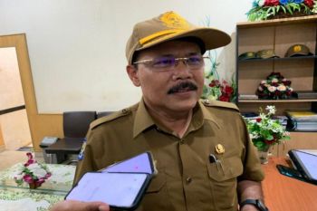 Pemprov Papua imbau pemda laporkan pengelolaan dana desa aplikasi Siskeudes