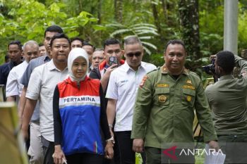 Kilang Kasim lepas liarkan 38 satwa endemik di Taman Wisata Alam Sorong