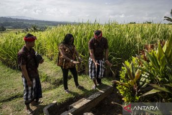 Kunjungan partisipan World Water Forum ke Jatiluwih.