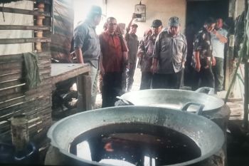 Pemkab Pasaman Barat kaji pengembangan gula dari air batang sawit