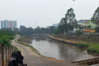 Lotus of Ciliwung River --- MAT PECI