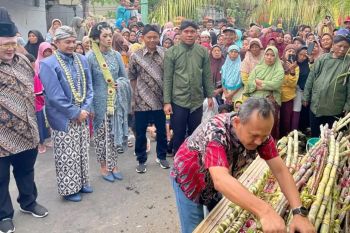 PG Redjosarie Magetan targetkan giling 3,1 juta kuintal tebu